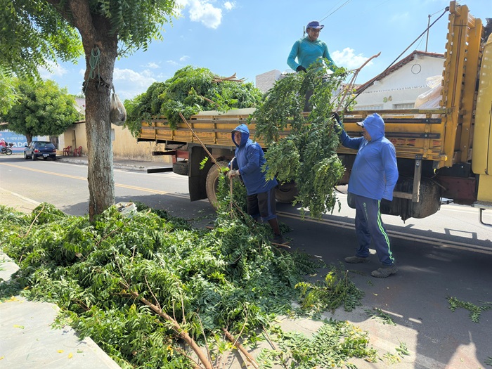 Prefeitura de Sousa intensifica trabalho de poda de árvores por toda a cidade